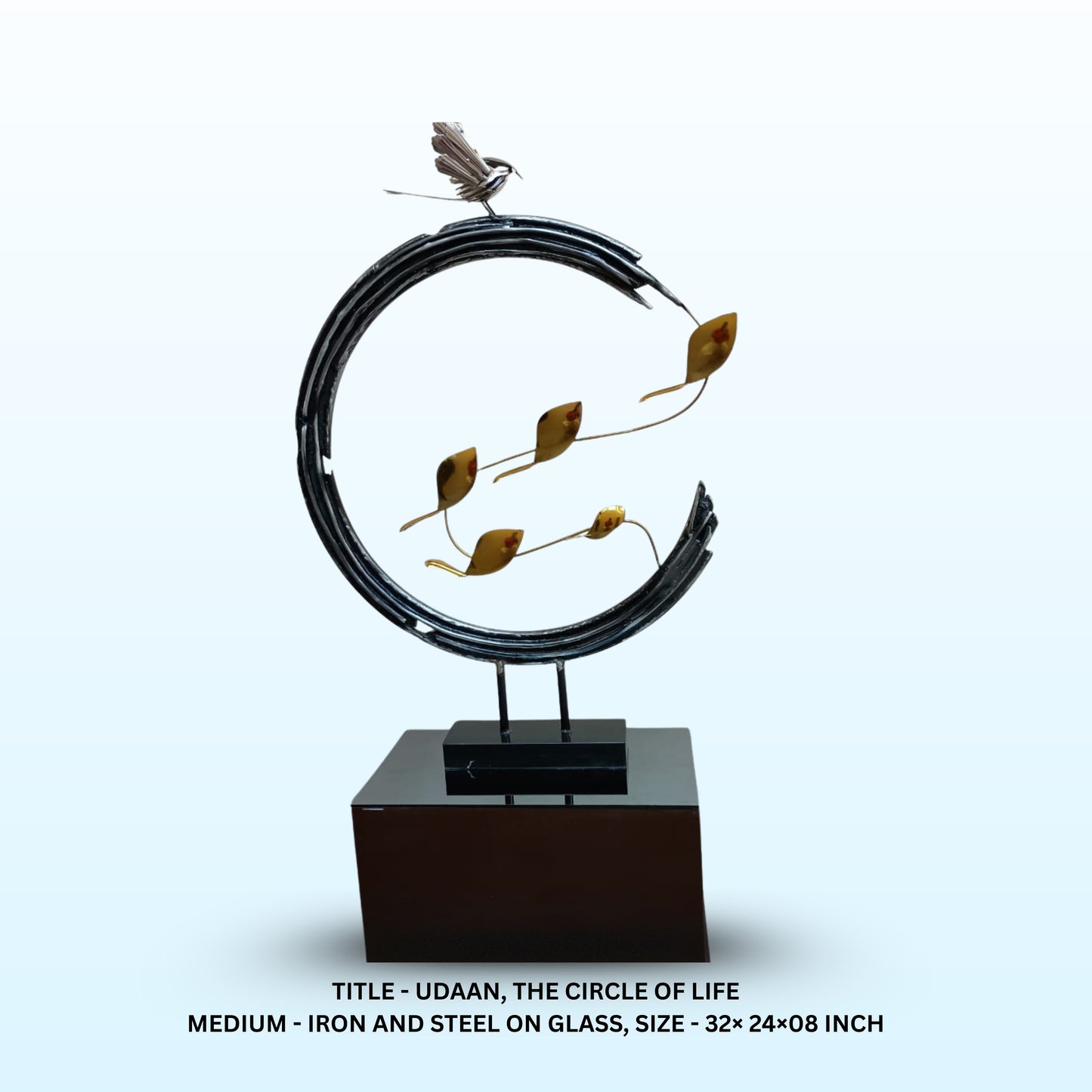 Reflection of Freedom