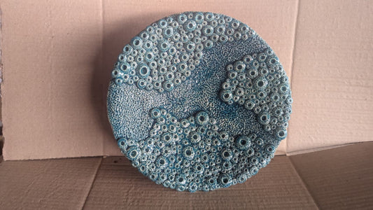 Platter -”Moon Crater”