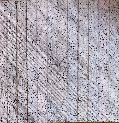 Tu Tu Karata Tu Bhaya